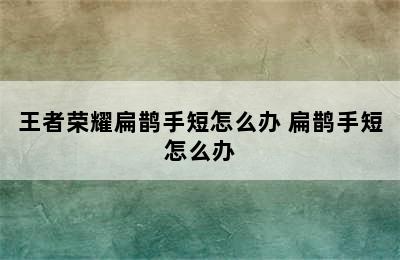 王者荣耀扁鹊手短怎么办 扁鹊手短怎么办